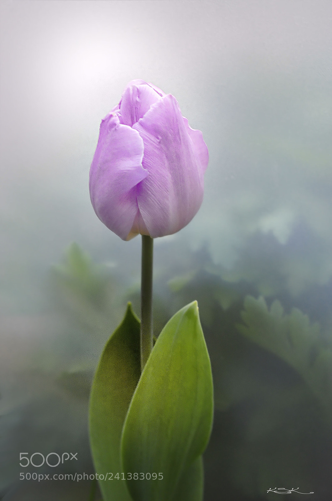 Nikon D5000 sample photo. Virgin photography