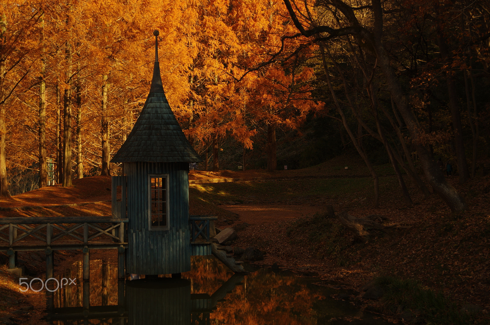 smc PENTAX-DA L 18-55mm F3.5-5.6 sample photo. ムーミン谷　moomin valley photography