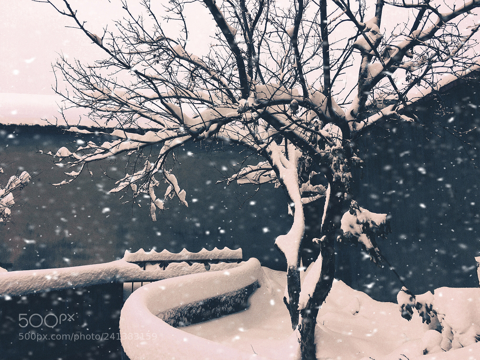 Apple iPhone 6s Plus sample photo. Untitled photography