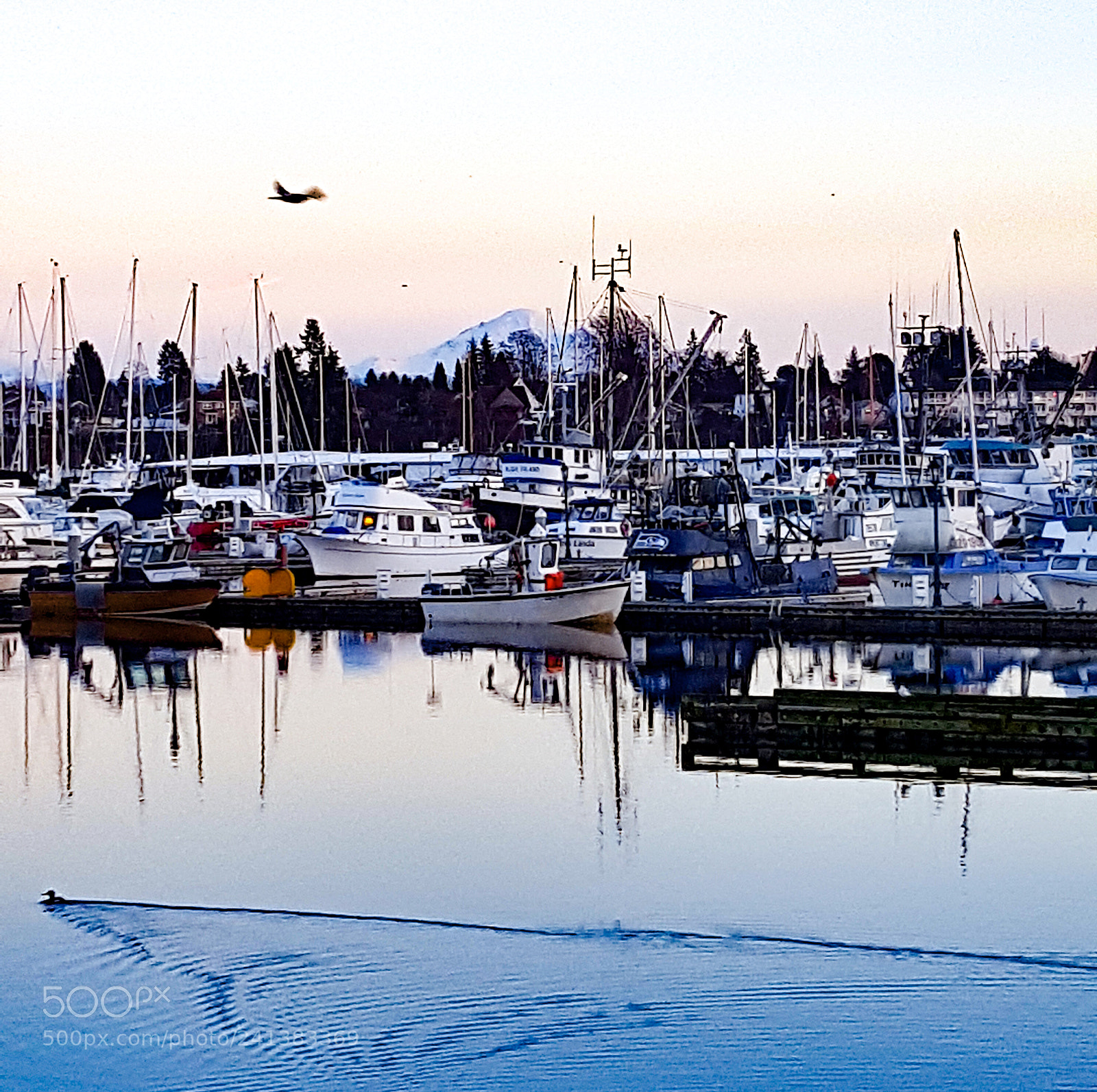 Samsung GALAXY S6 edge sample photo. Marina meandering photography