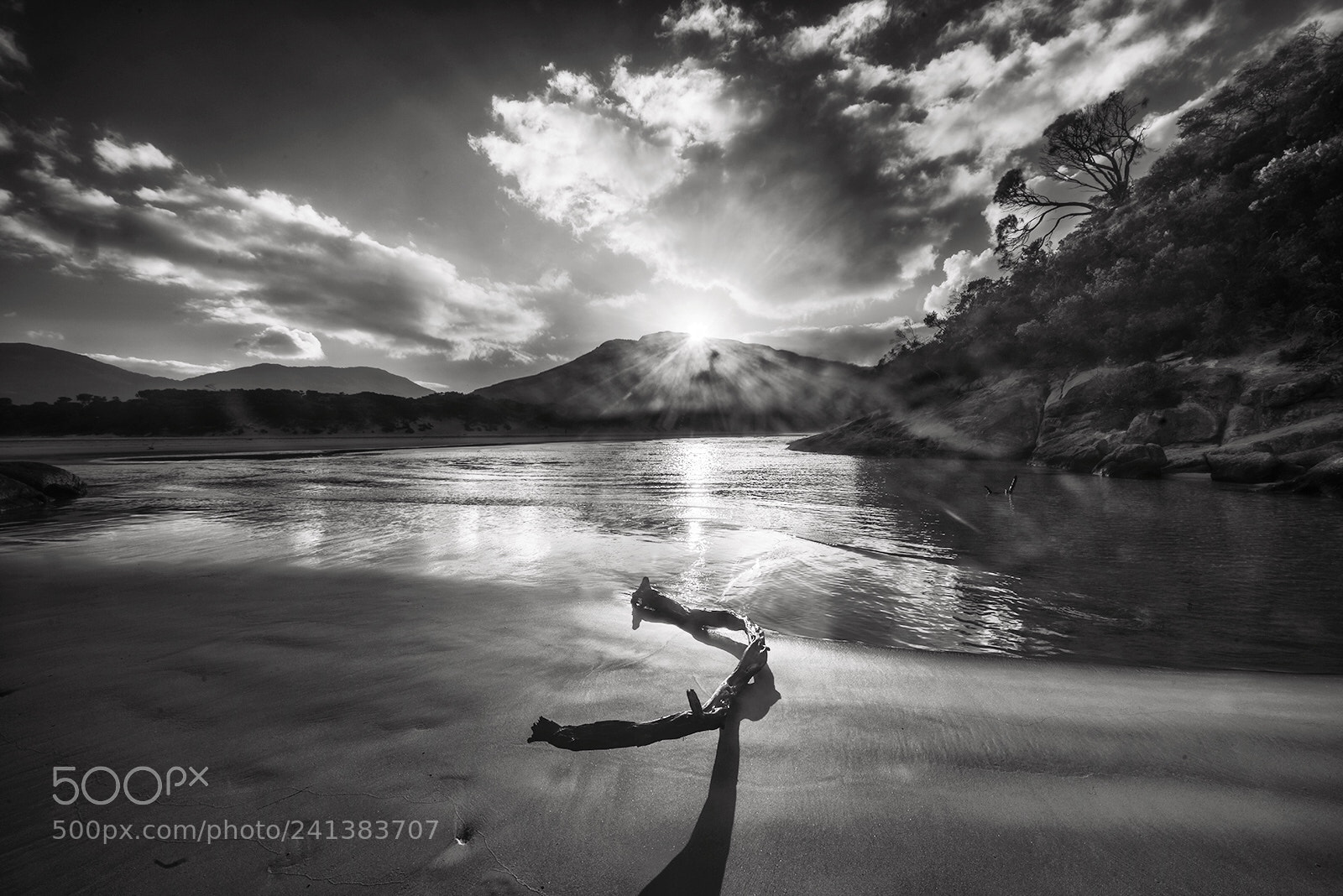 Nikon D810 sample photo. Tidal river photography