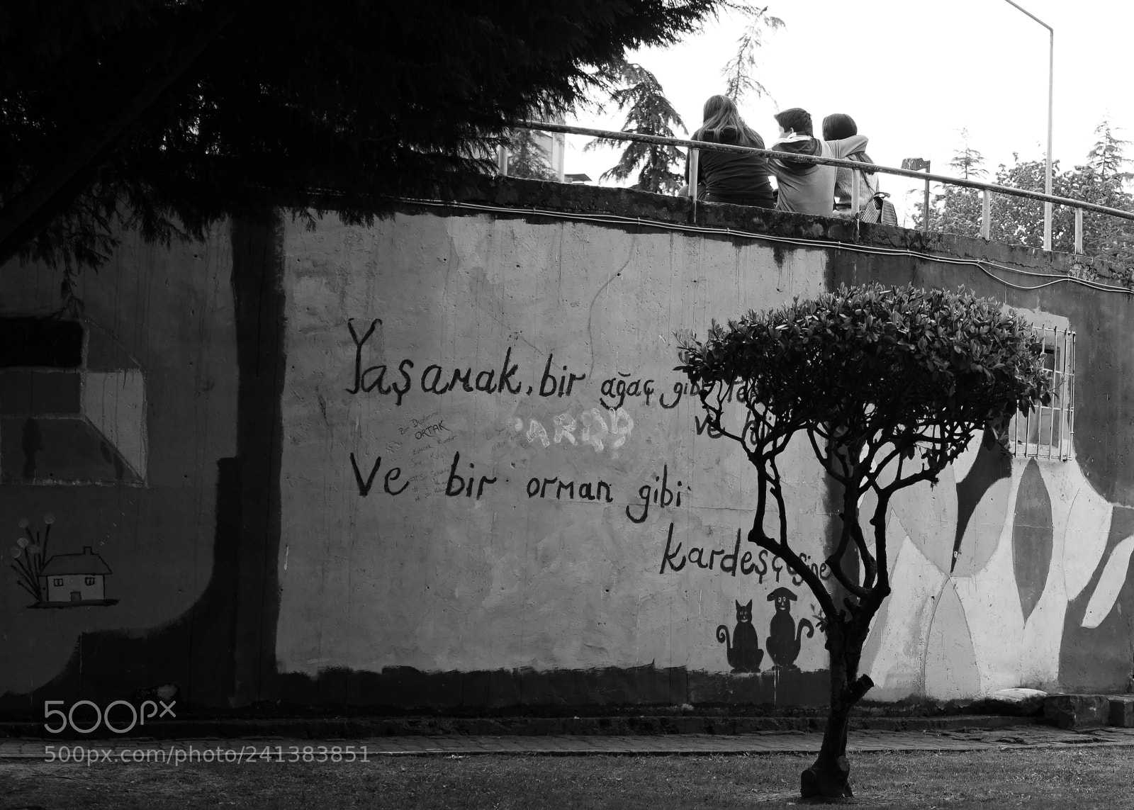 Sony a7 sample photo. Yaşamak kardeşçesine photography