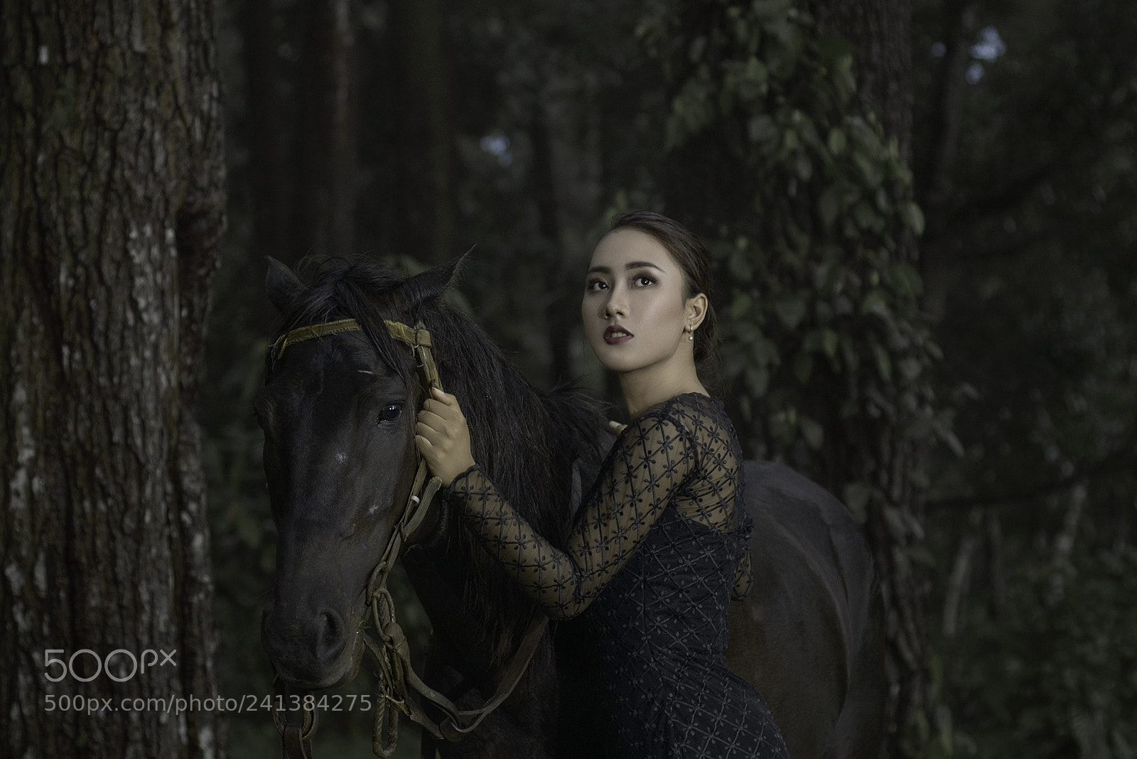 Nikon D800 sample photo. Beauty and horses photography