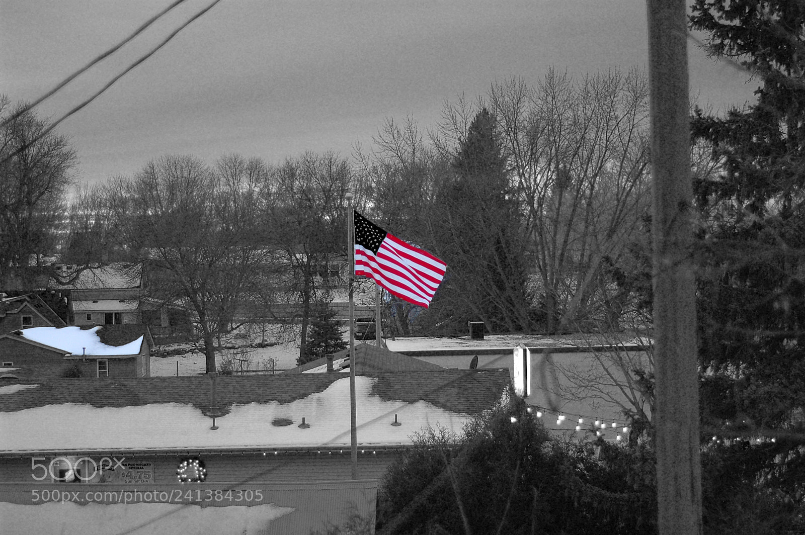 Nikon D70 sample photo. Flag b&w photography