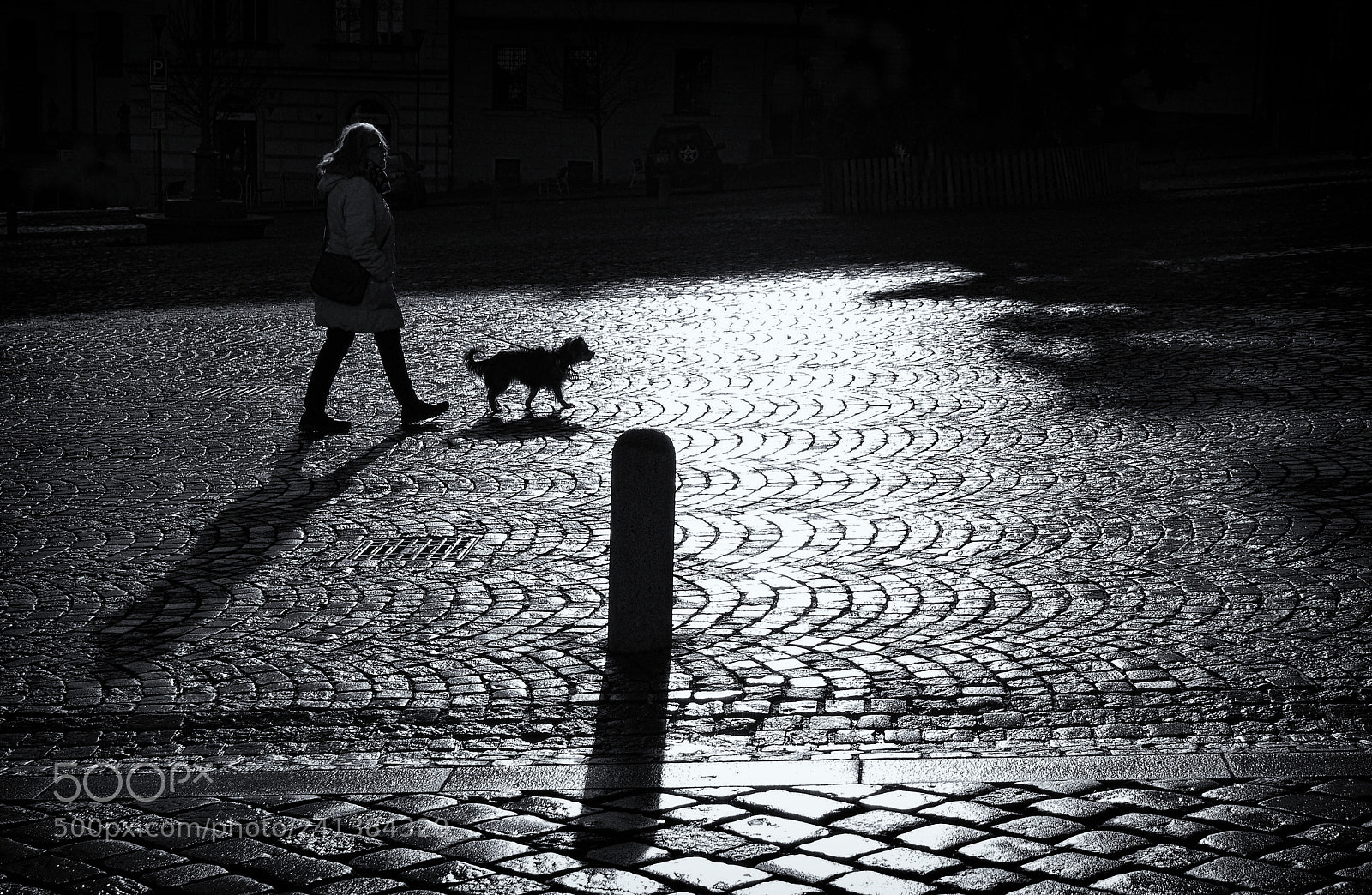 Olympus OM-D E-M10 II sample photo. ... photography