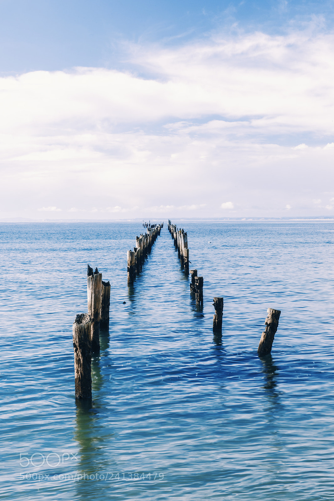 Nikon D800 sample photo. Beautiful beach at bridport photography