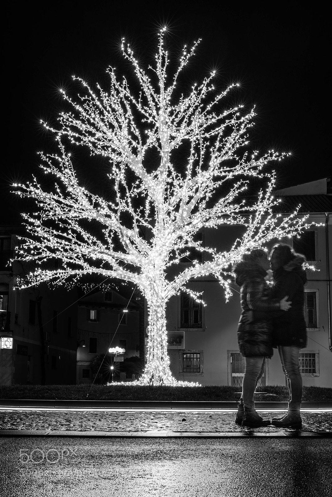 Nikon D800E sample photo. Untitled photography