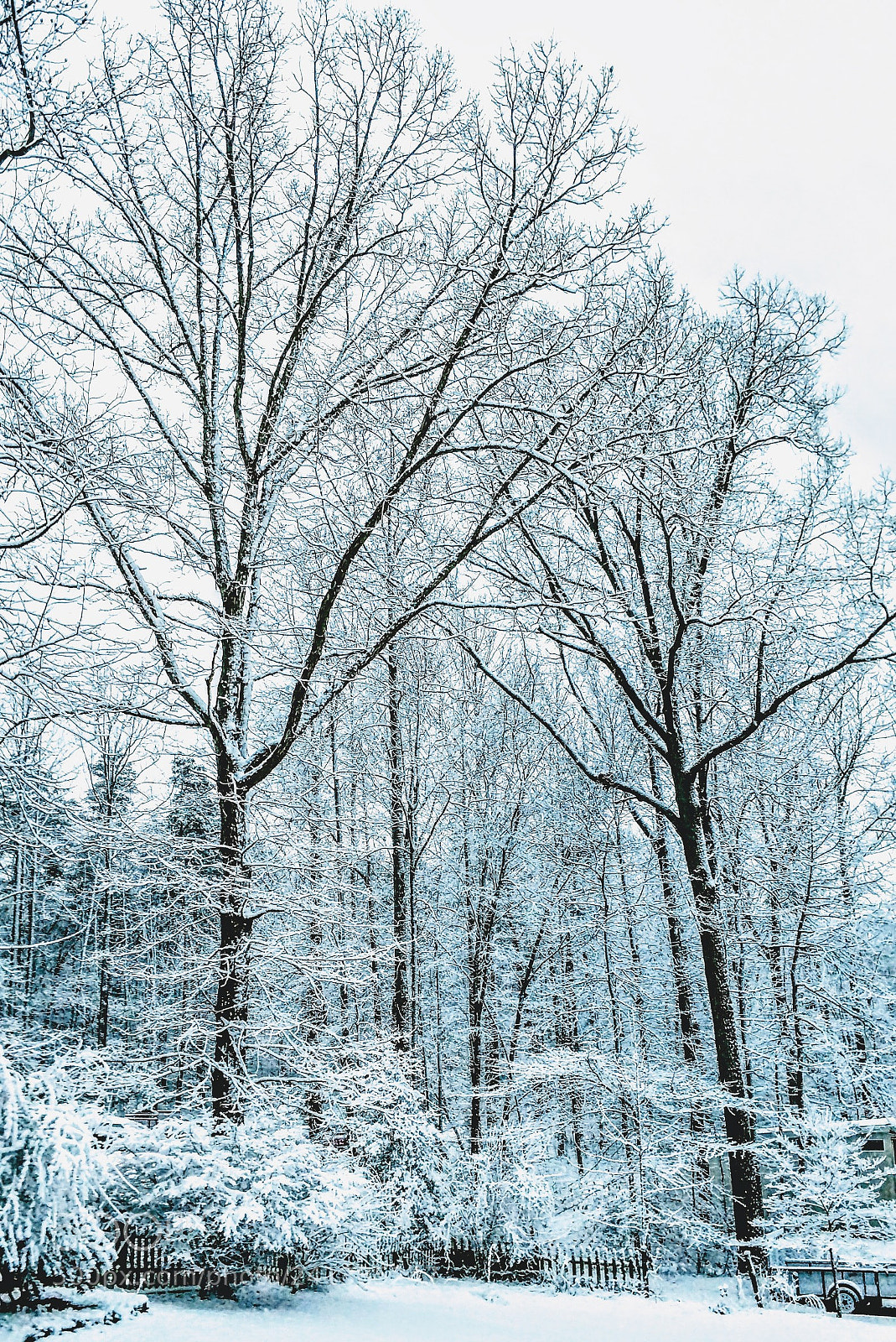 Motorola XT1650 sample photo. Winter's best photography