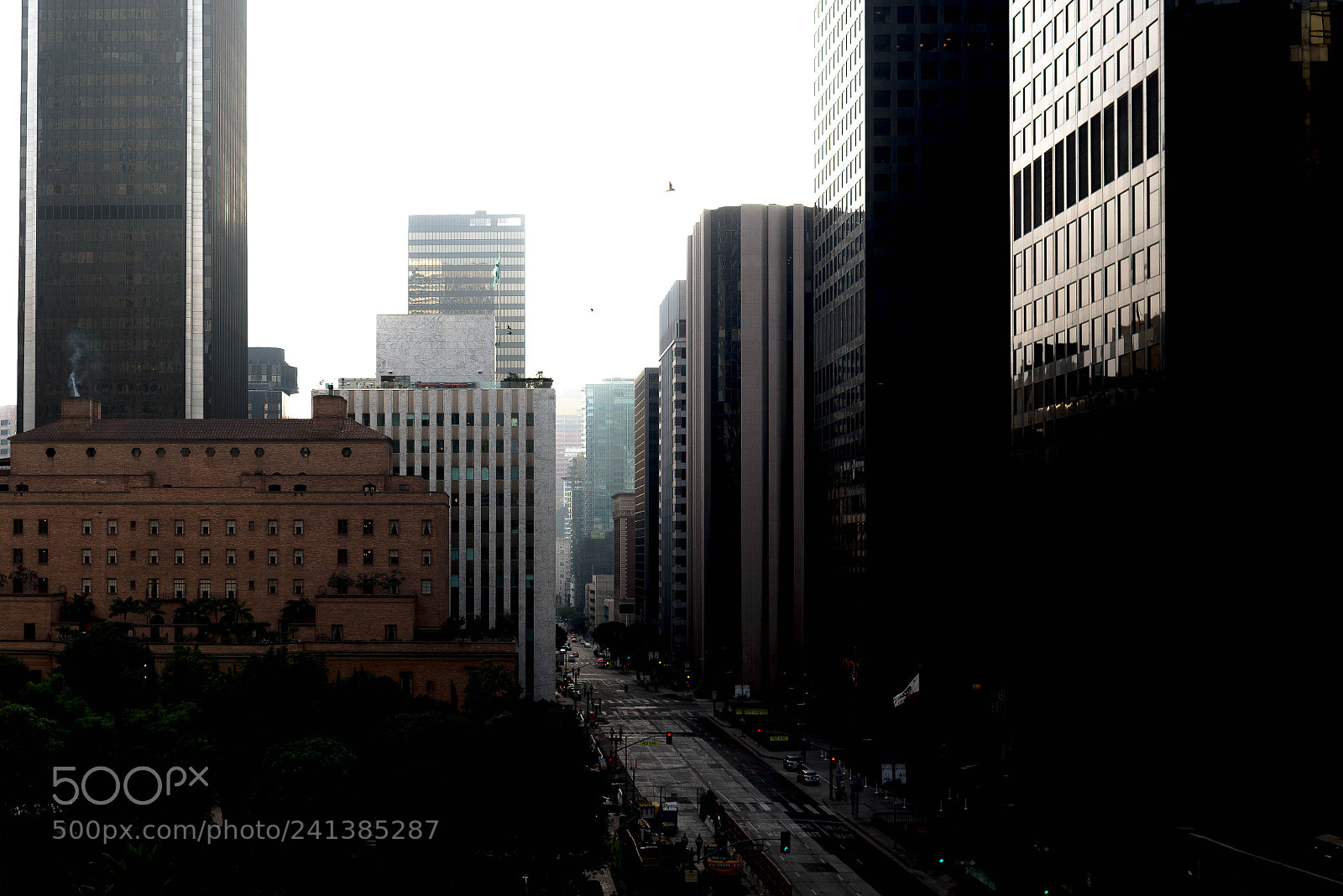 Nikon D800 sample photo. Untitled photography