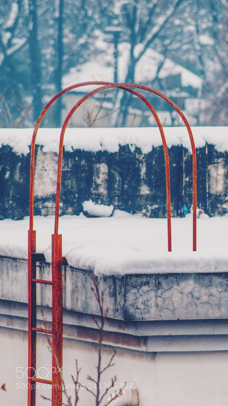 Pentax K-70 sample photo. Untitled photography