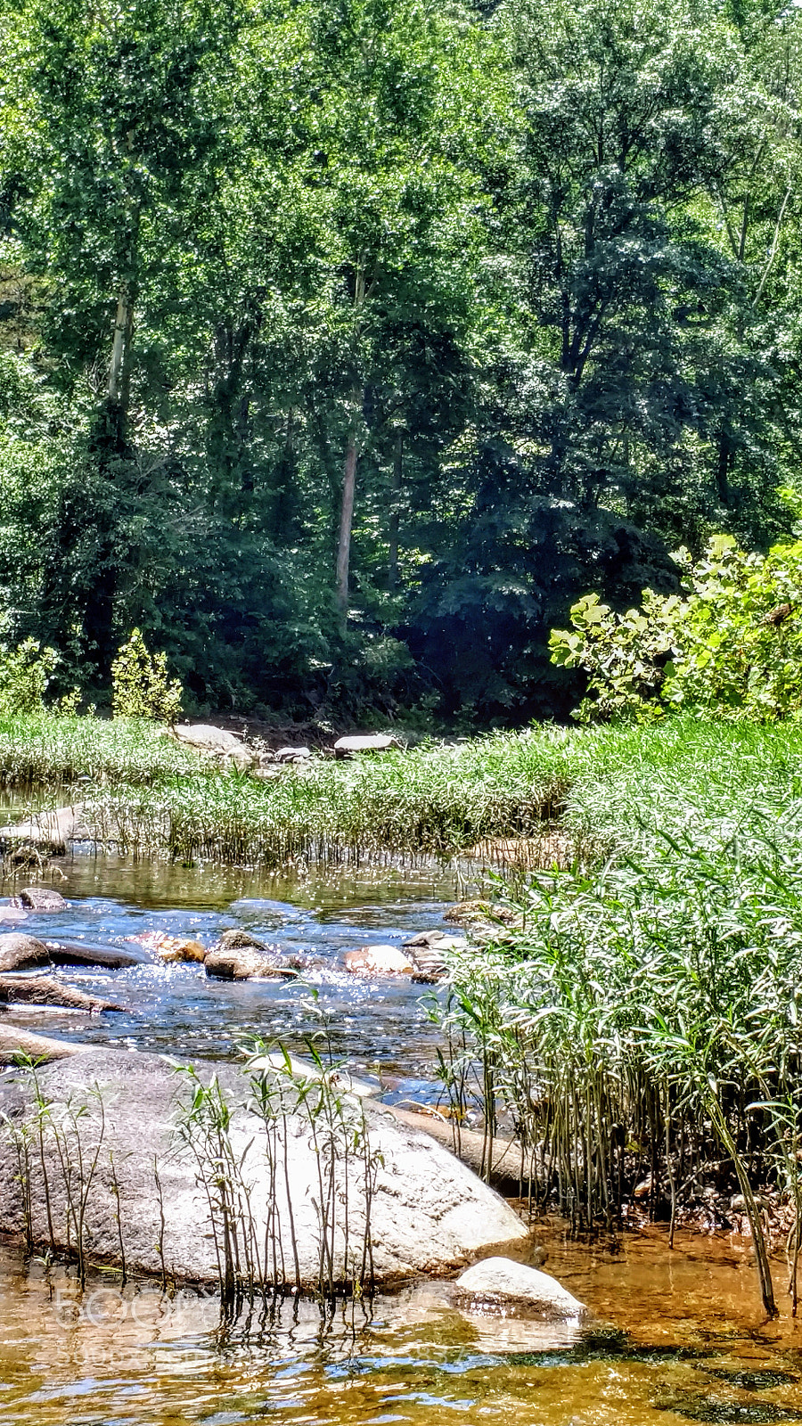 Motorola XT1650 sample photo. Riverrun photography