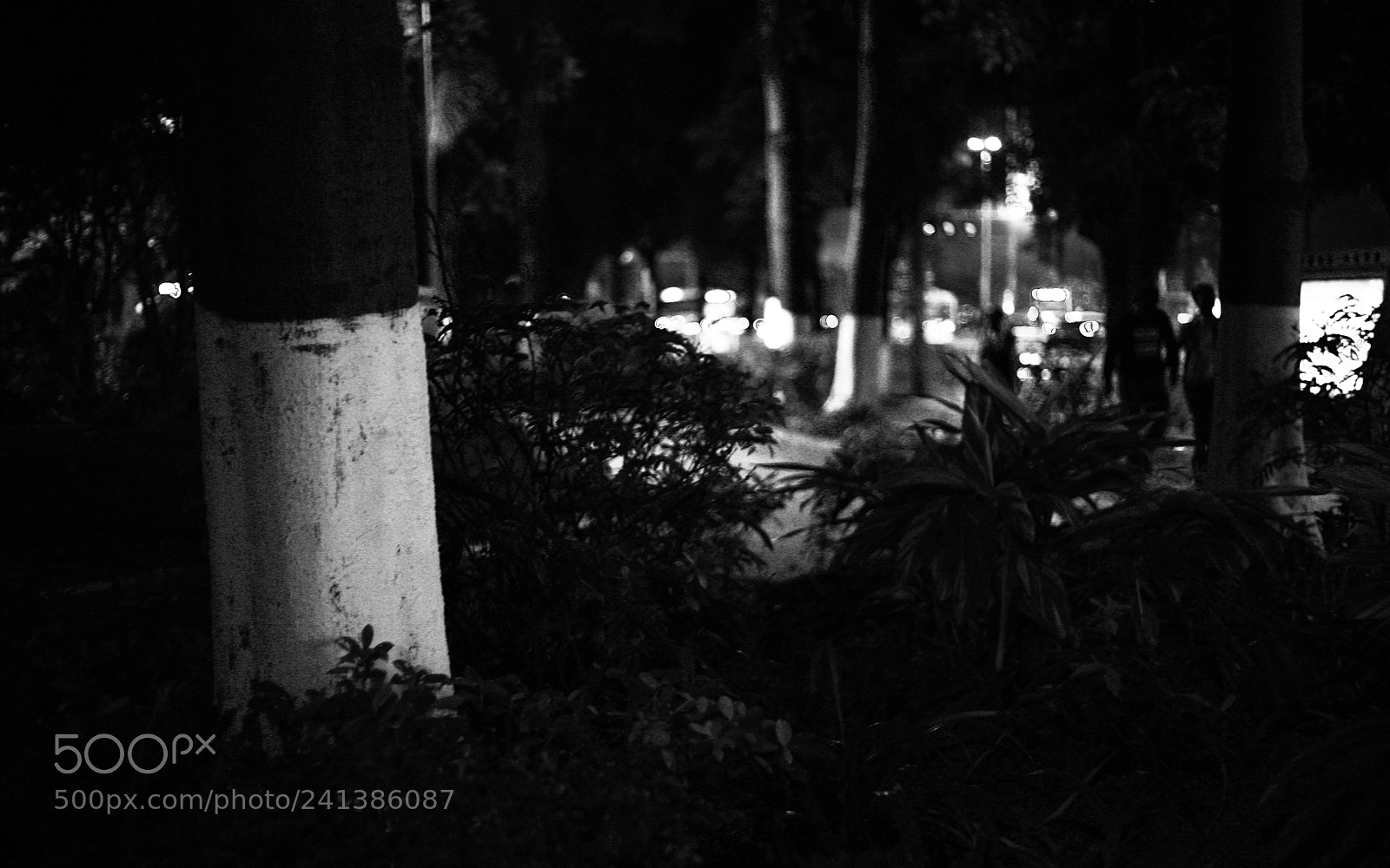 Canon EOS 5D sample photo. Untitled photography
