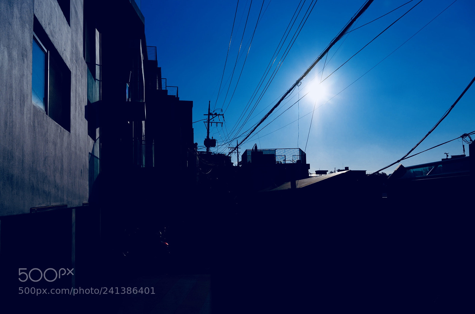 Fujifilm GFX 50S sample photo. Untitled photography