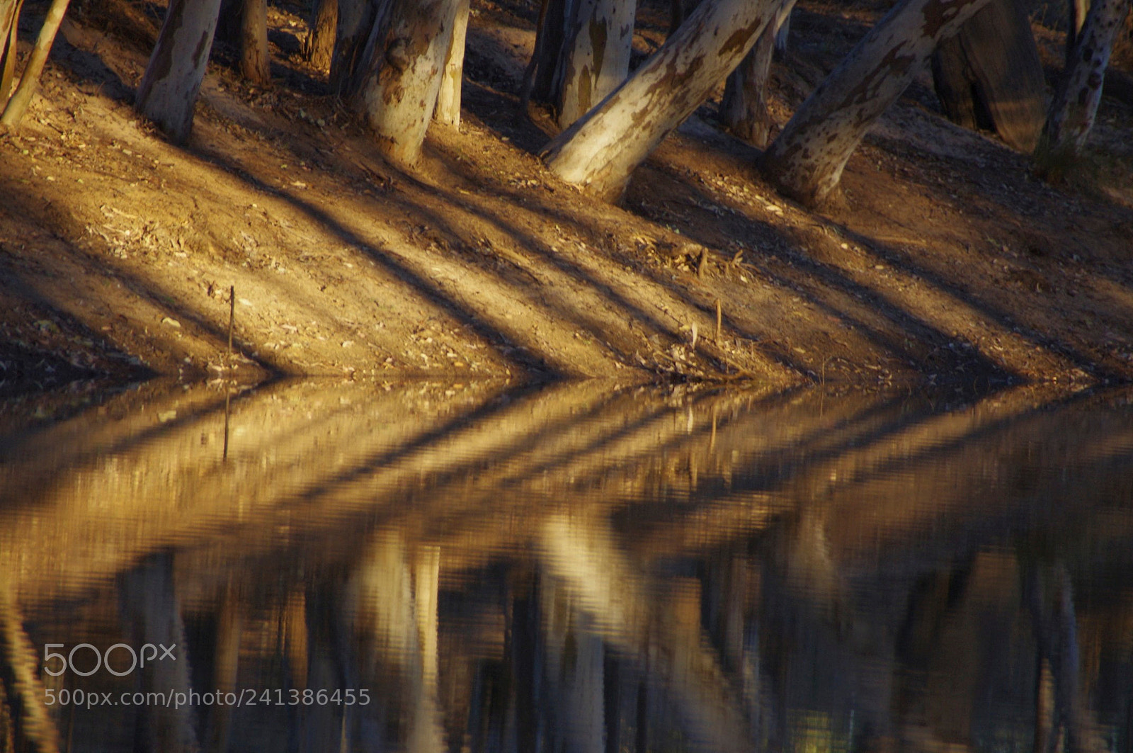 Pentax K-x sample photo. Reflections photography