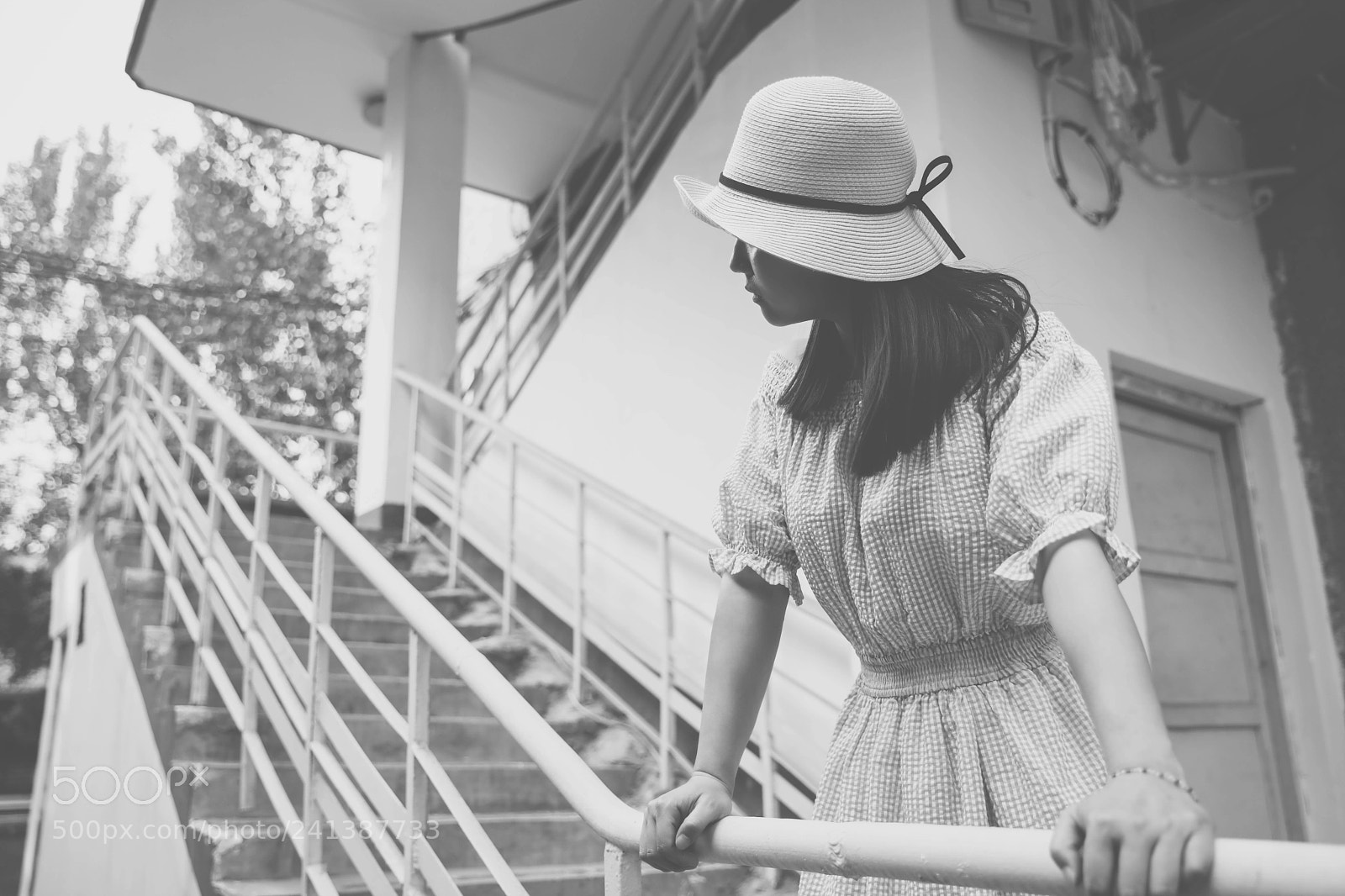 Canon EOS 5DS sample photo. 六月的鱼 photography