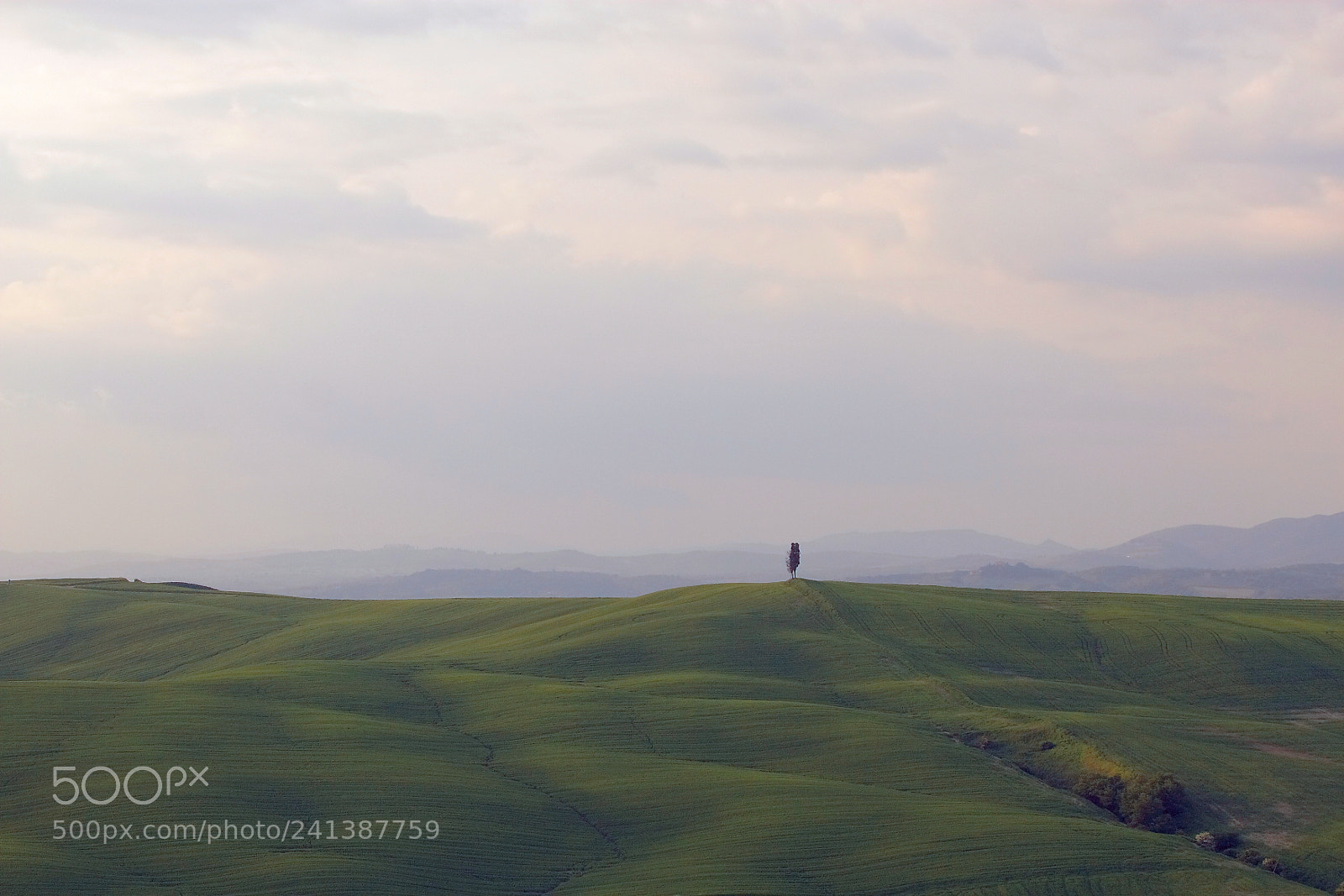 Canon EOS 30D sample photo. Tuscany morning photography