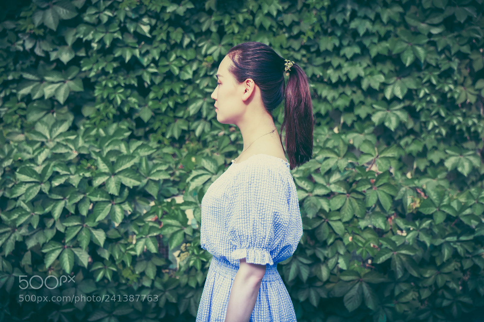 Canon EOS 5DS sample photo. 六月的鱼 photography