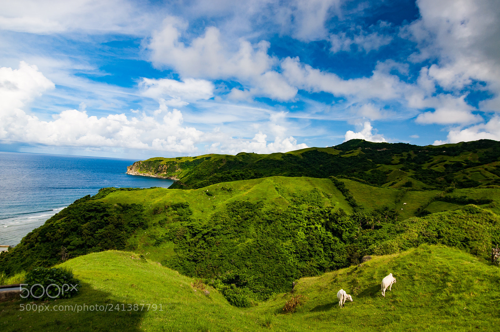 Nikon D90 sample photo. Batanes, philippines photography