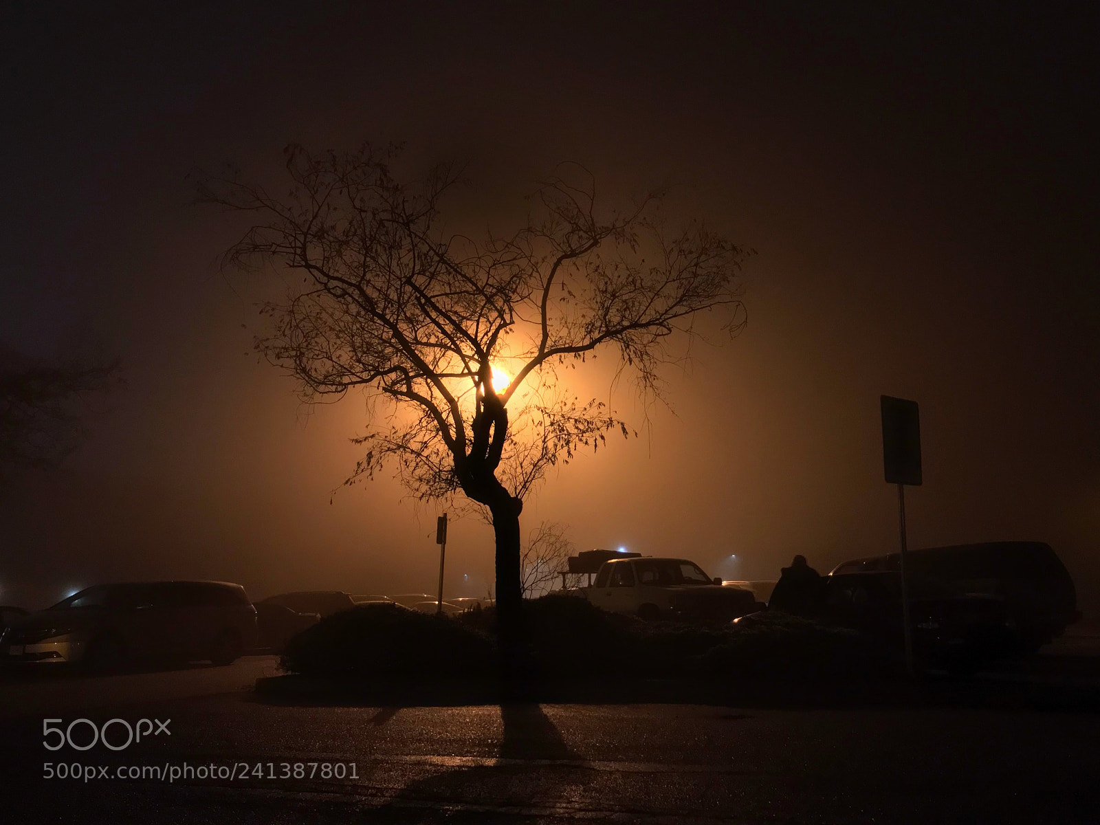 Apple iPhone 7 Plus sample photo. A foggy evening photography