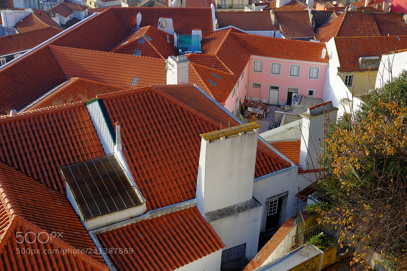Fujifilm X-E2S sample photo. The pink yard photography