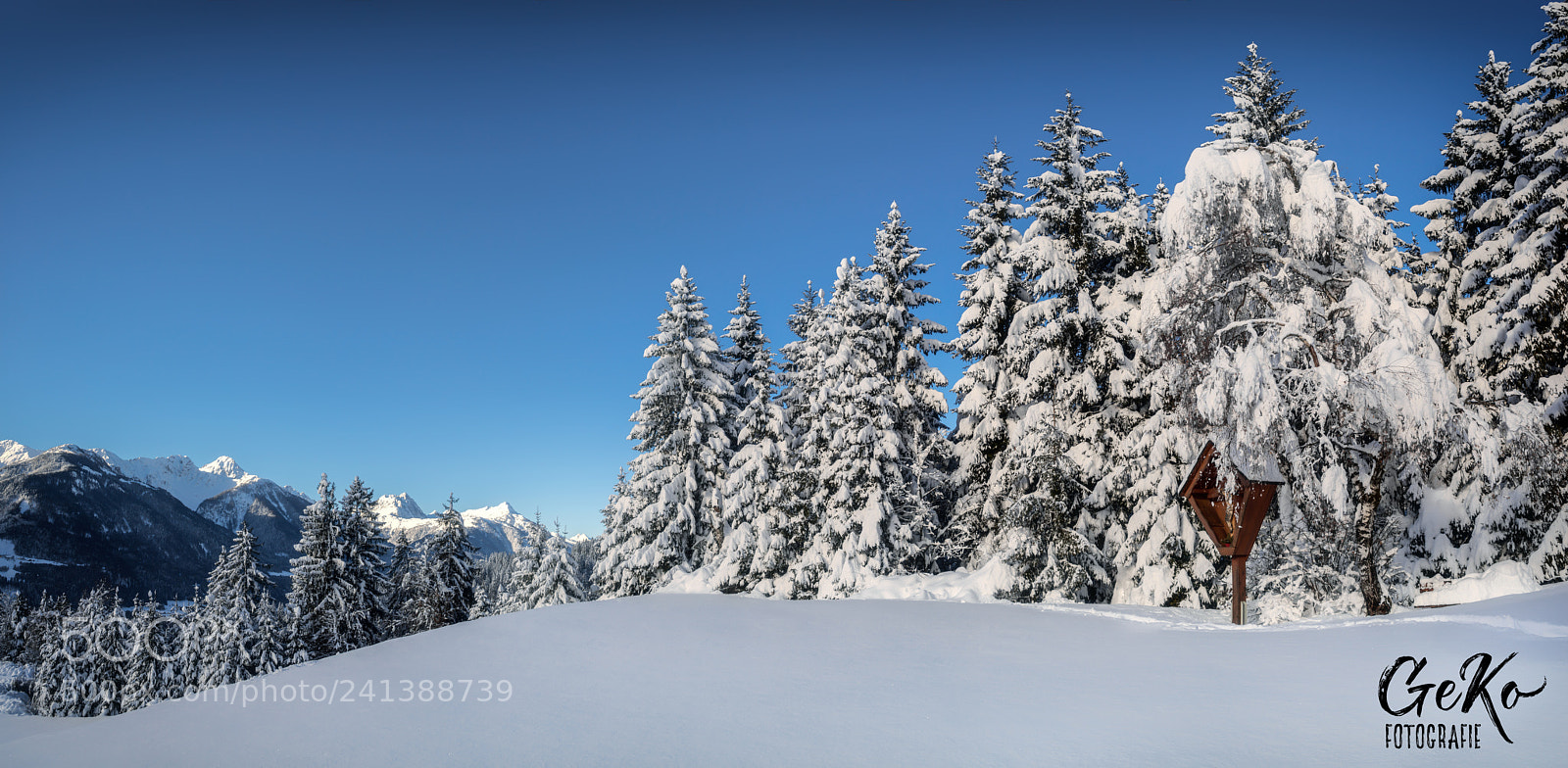 Sony a7R sample photo. Winter wonderland photography
