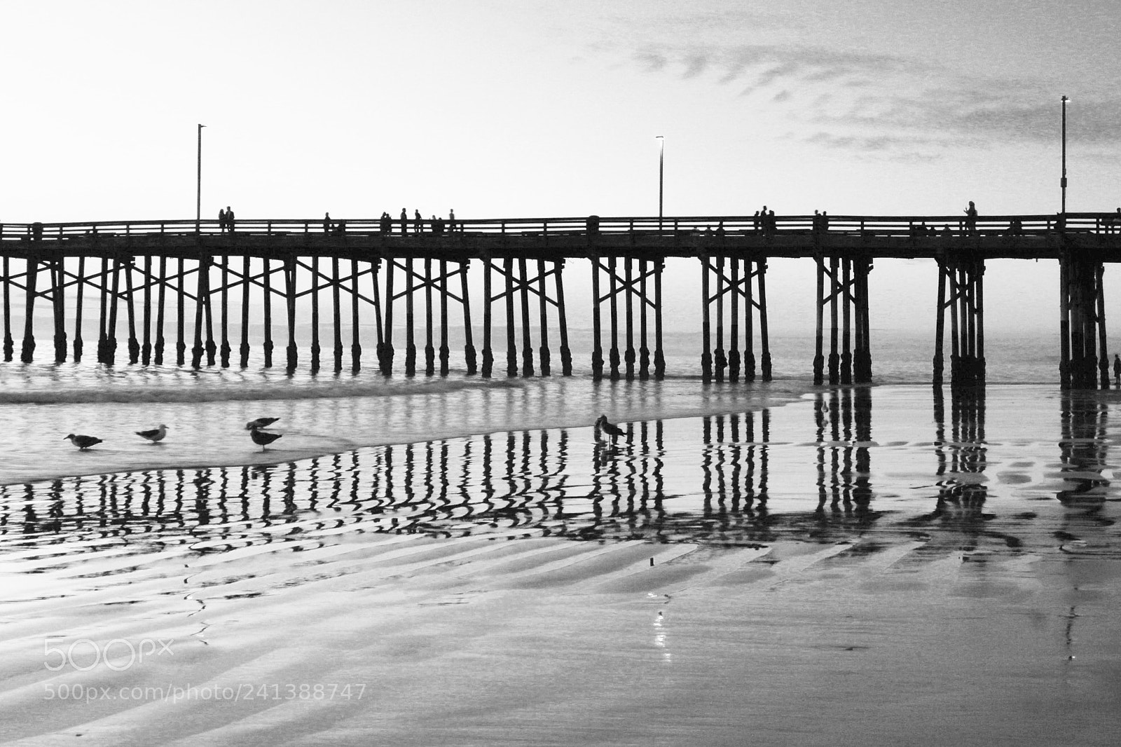 Canon EOS 100D (EOS Rebel SL1 / EOS Kiss X7) sample photo. Newport beach pier photography