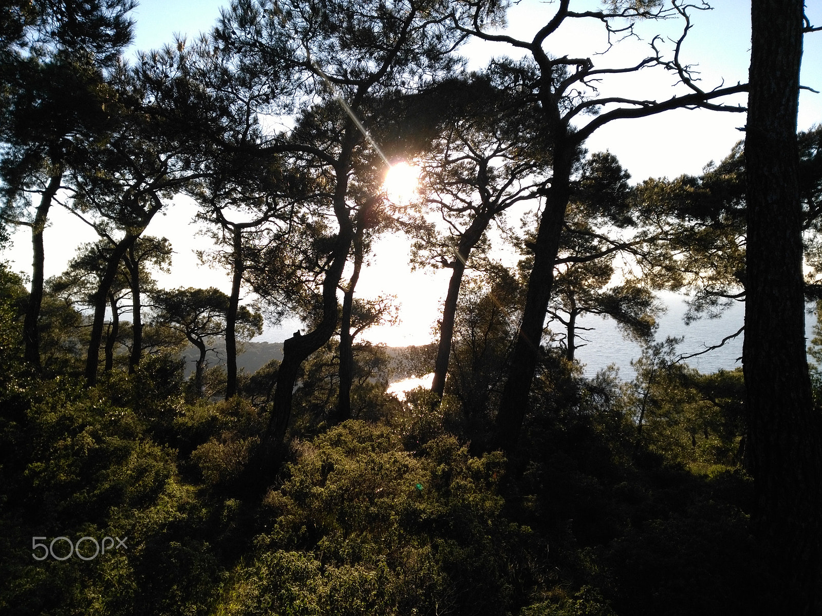 HUAWEI GR5 sample photo. Princess island.jpg photography