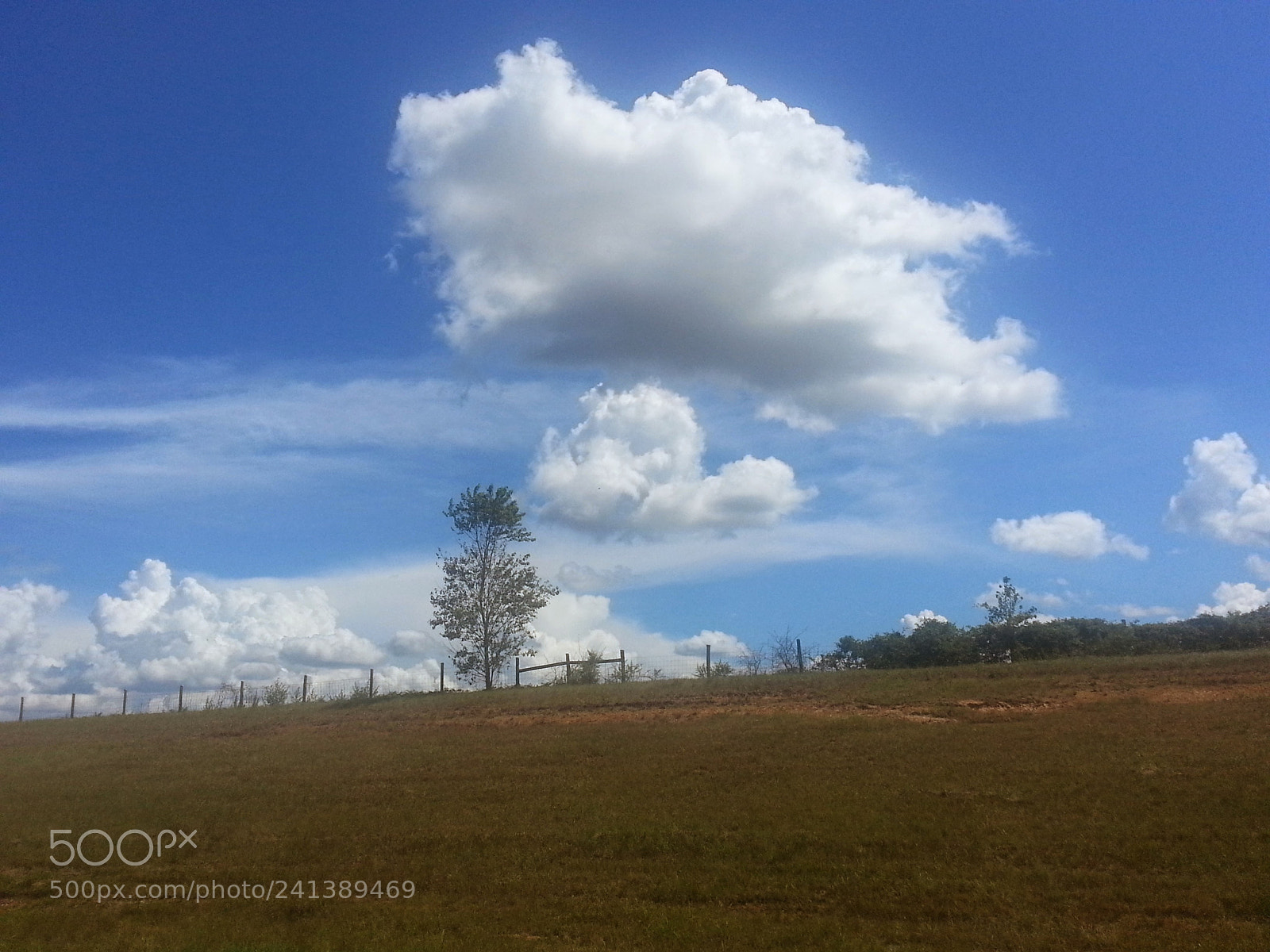 Samsung Galaxy S3 sample photo. () photography