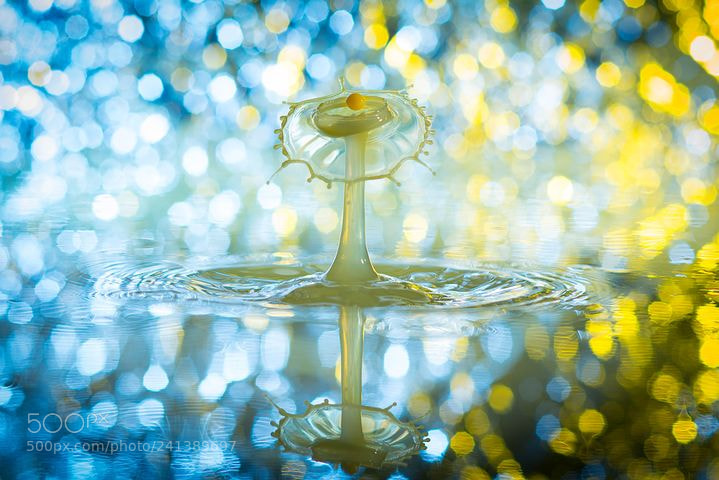 Nikon D7100 sample photo. Drip photography