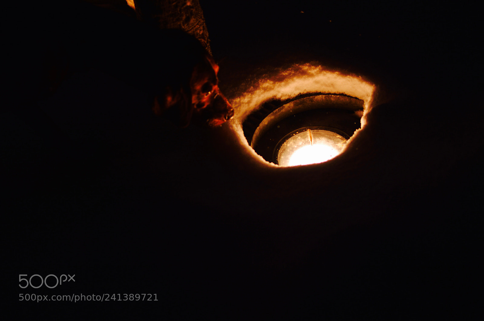 Nikon D3200 sample photo. Winter magic photography