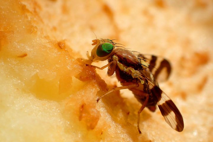 Olympus TG-3 sample photo. Nature photography