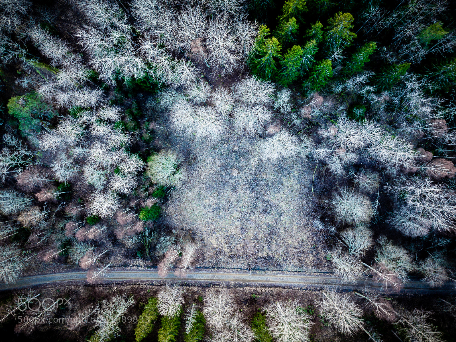 DJI FC220 sample photo. Frost photography