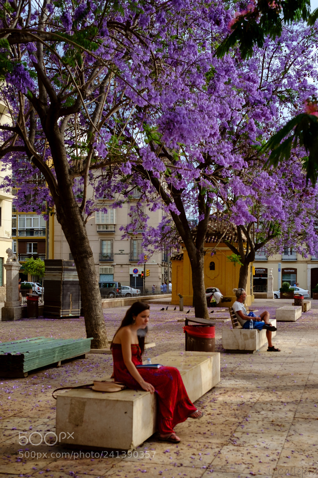 Fujifilm X-E1 sample photo. Bendita photography
