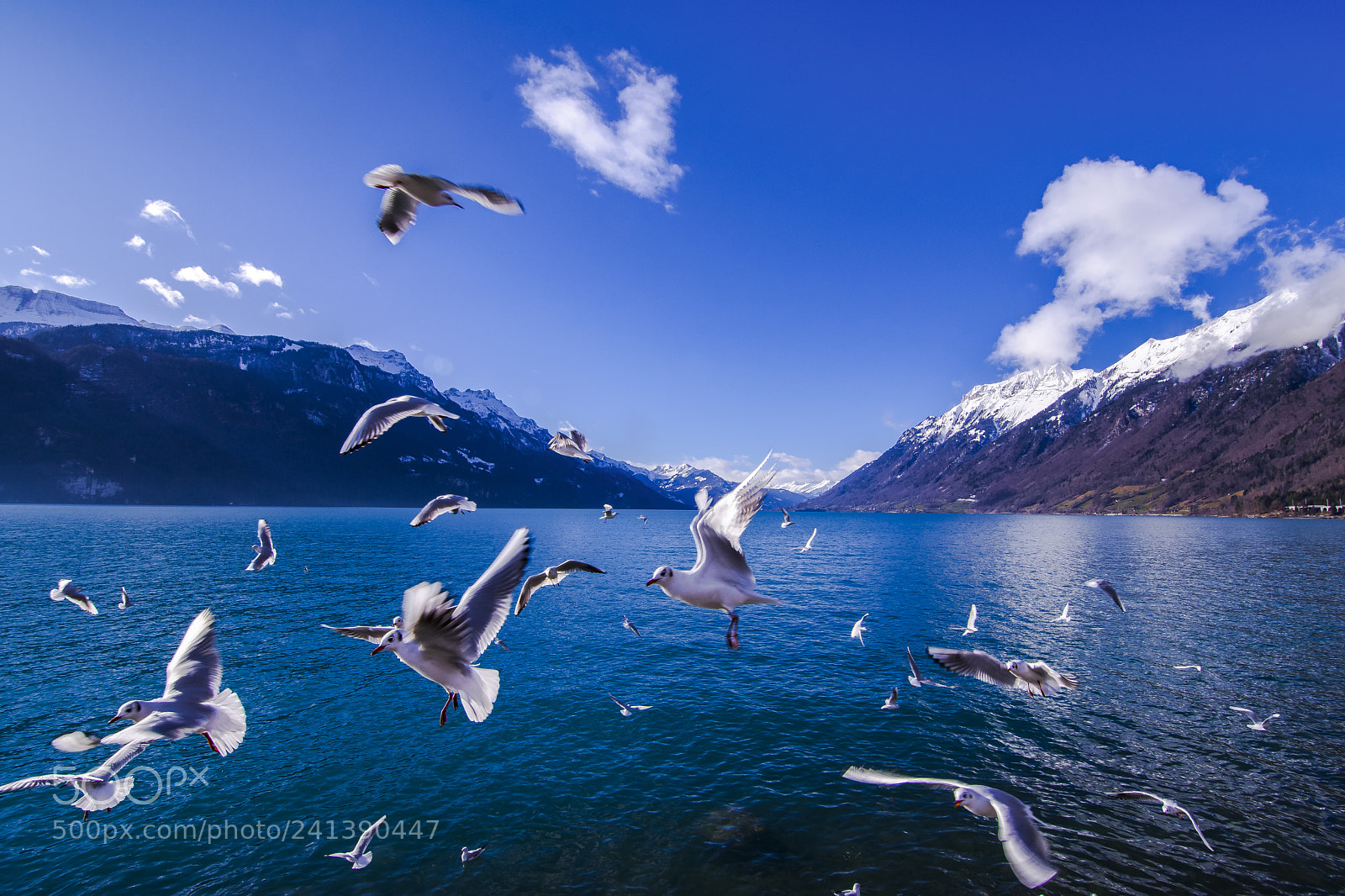 Nikon D7200 sample photo. Brienz photography