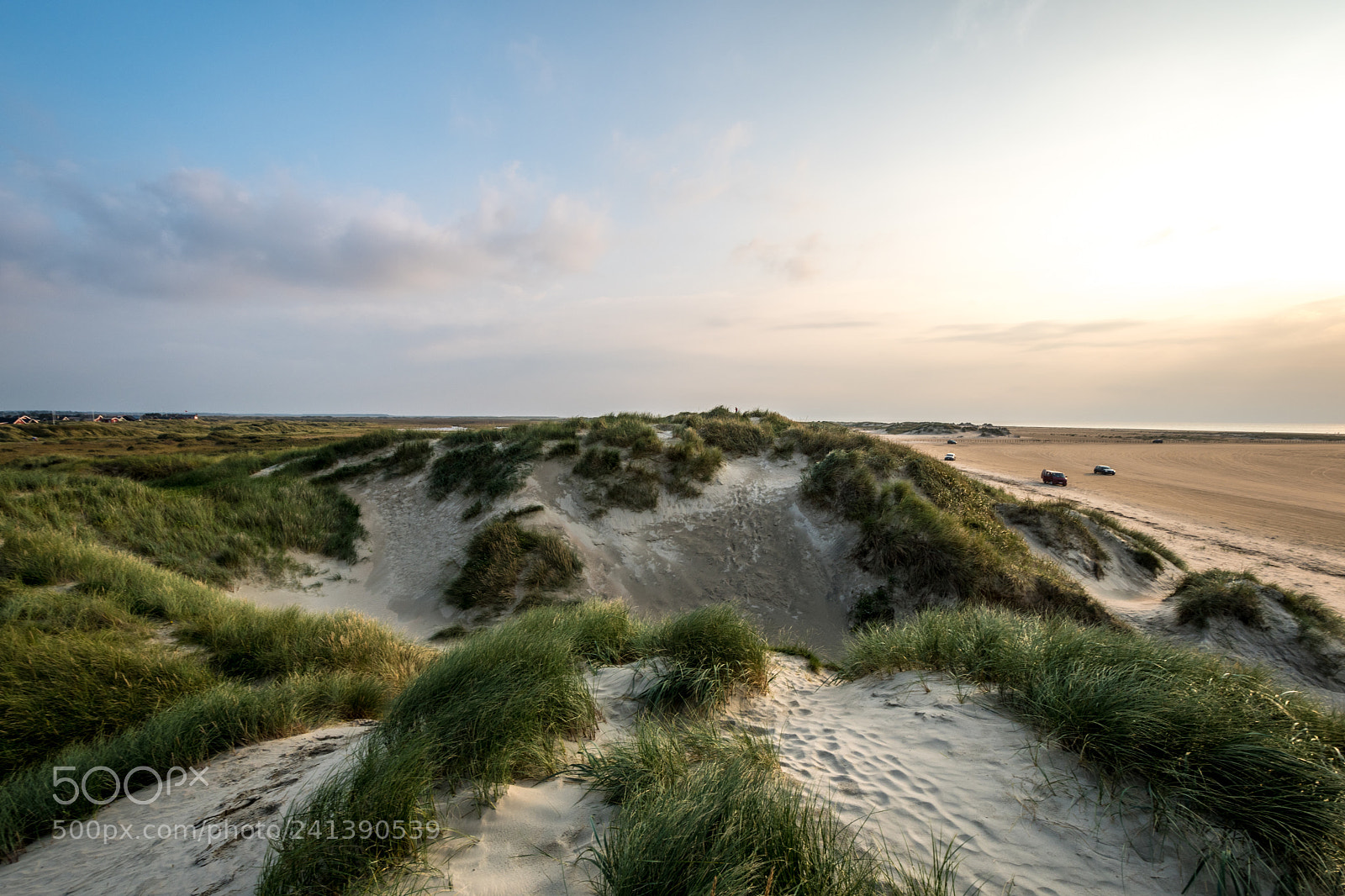 Nikon D500 sample photo. Dune & beach photography