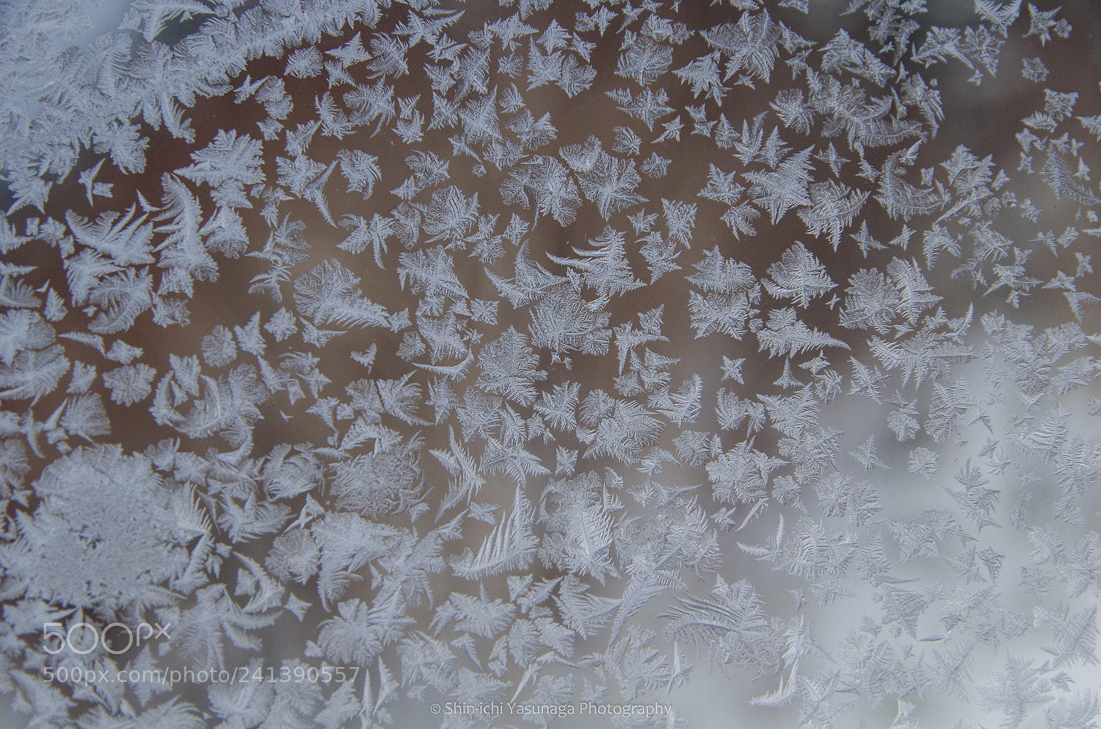 Pentax K-30 sample photo. The ice world photography