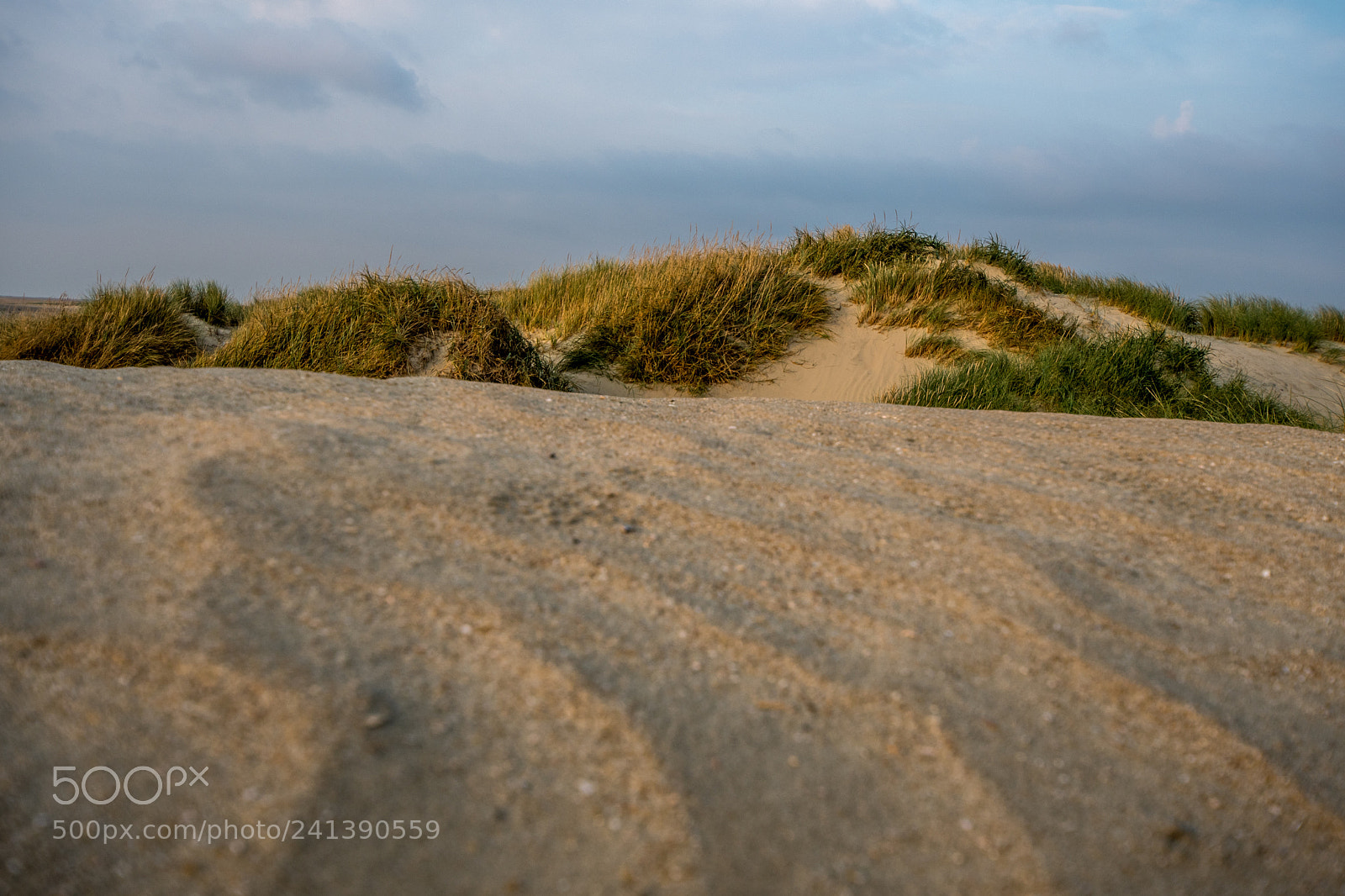 Nikon D500 sample photo. Waves photography