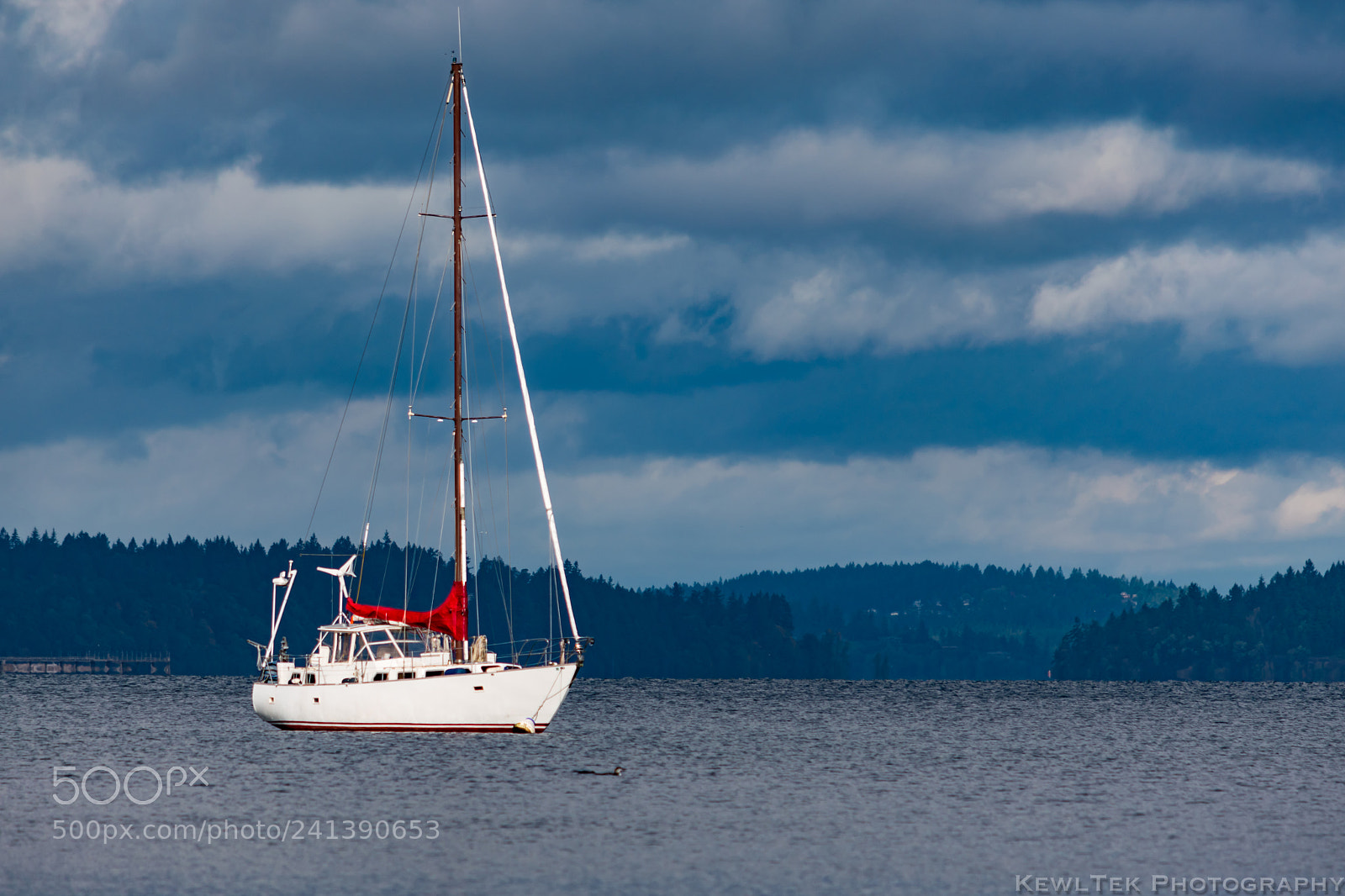 Nikon D5600 sample photo. Sailboat photography