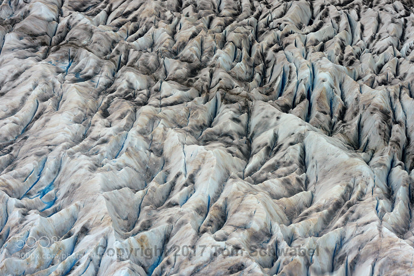 Nikon D800 sample photo. Crevassed photography