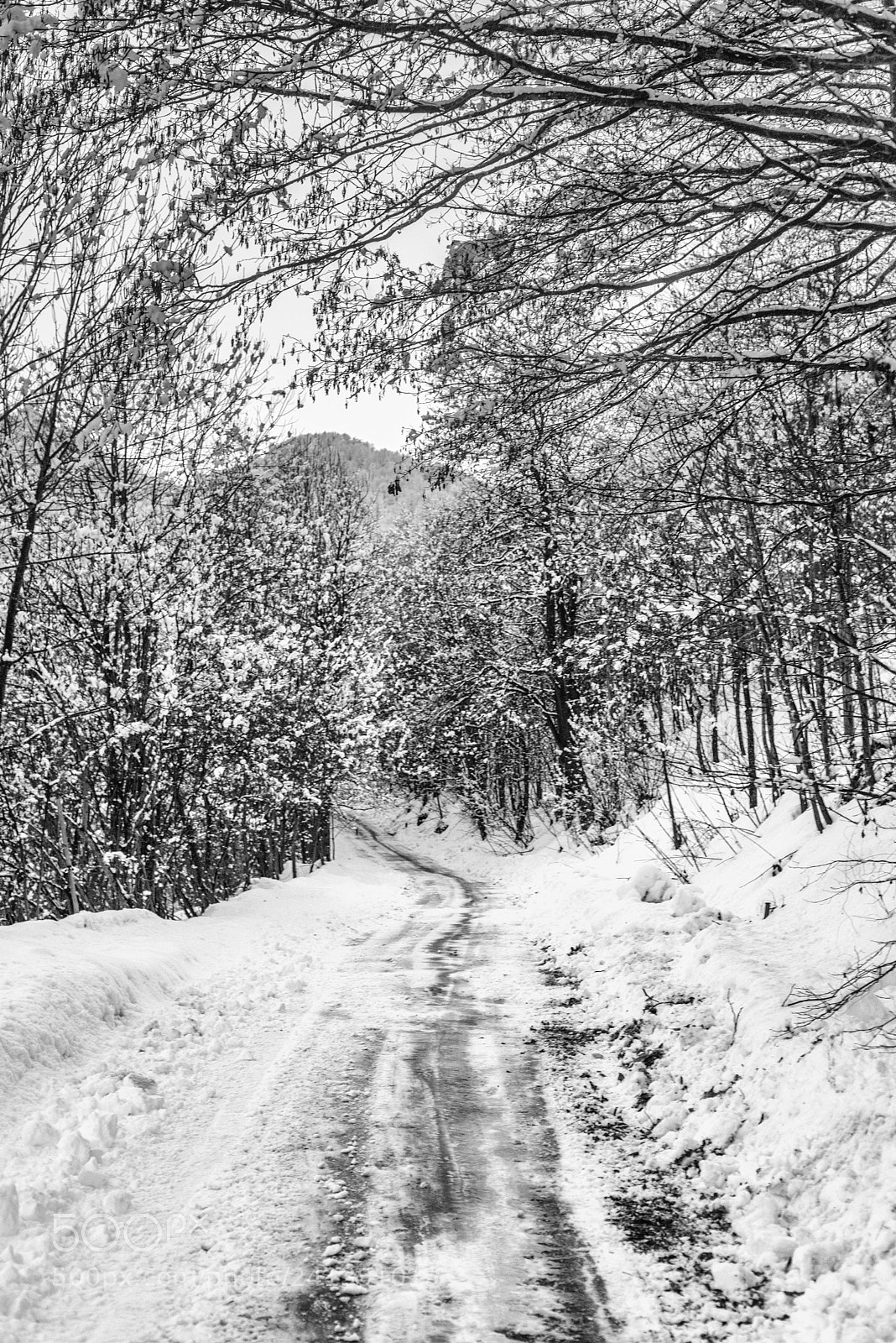 Nikon D800 sample photo. Danger photography