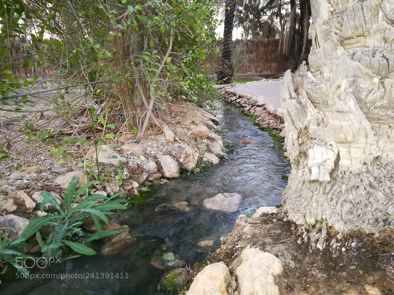 HUAWEI GR5 2017 sample photo. Untitled photography