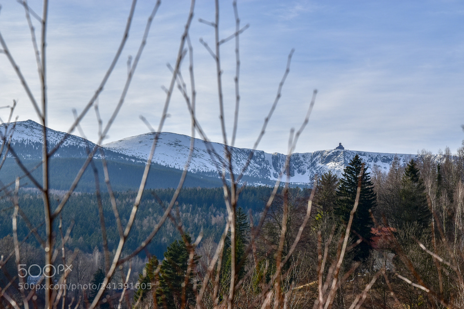 Nikon D5500 sample photo. Wielki szyszak, nie ne photography