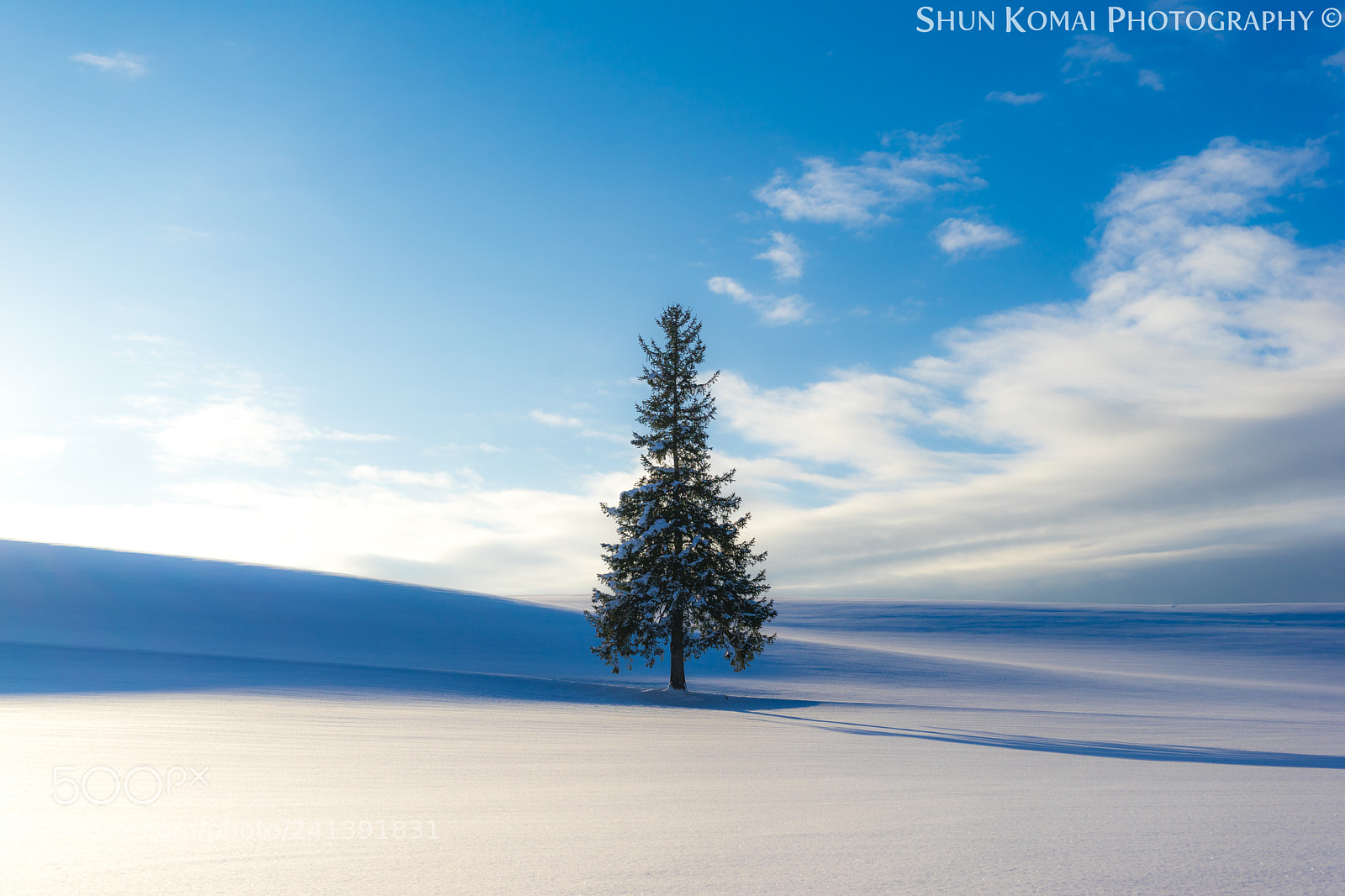 Sony a7 sample photo. Alone,but never alone. photography