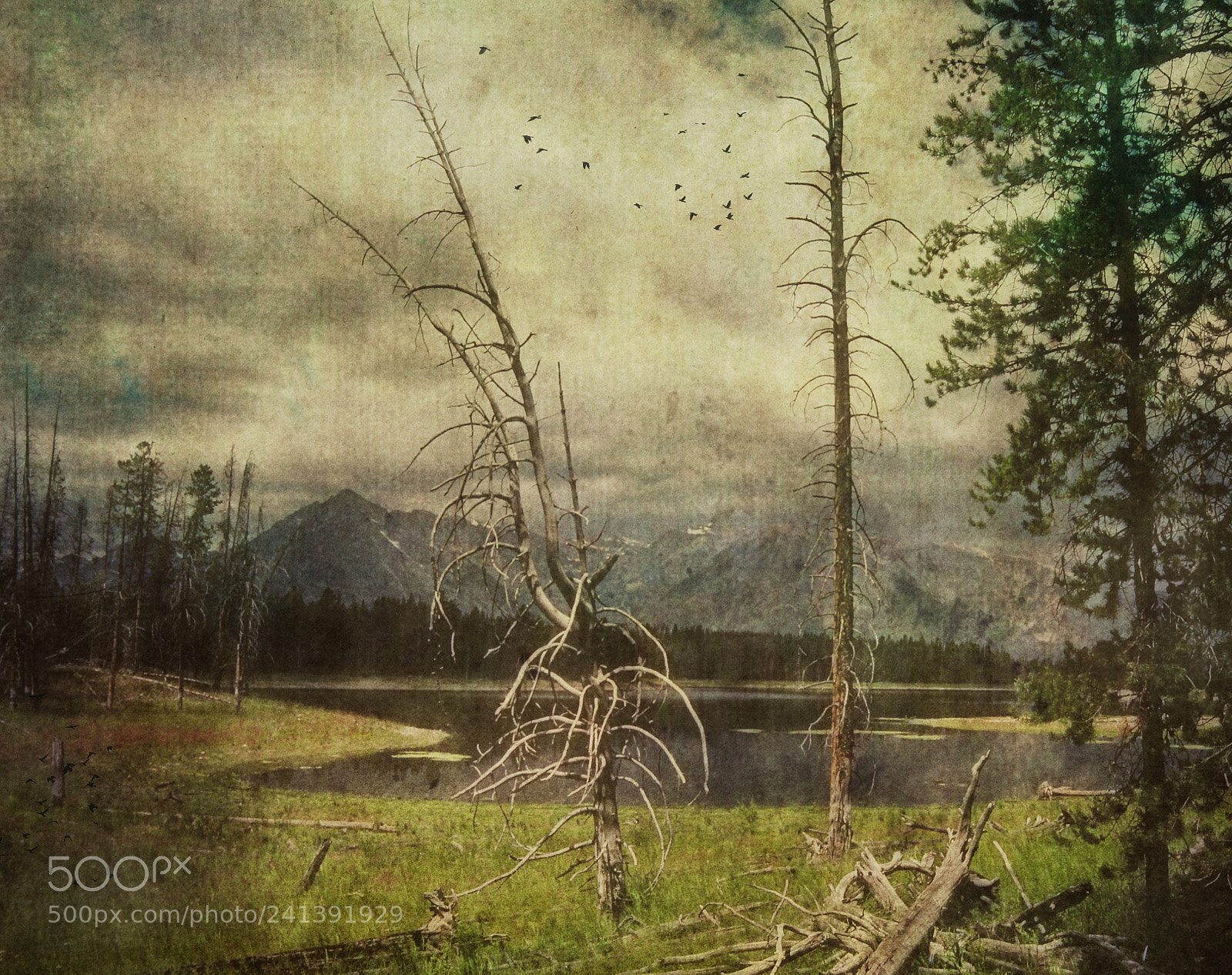 Canon EOS 60D sample photo. Tetons photography