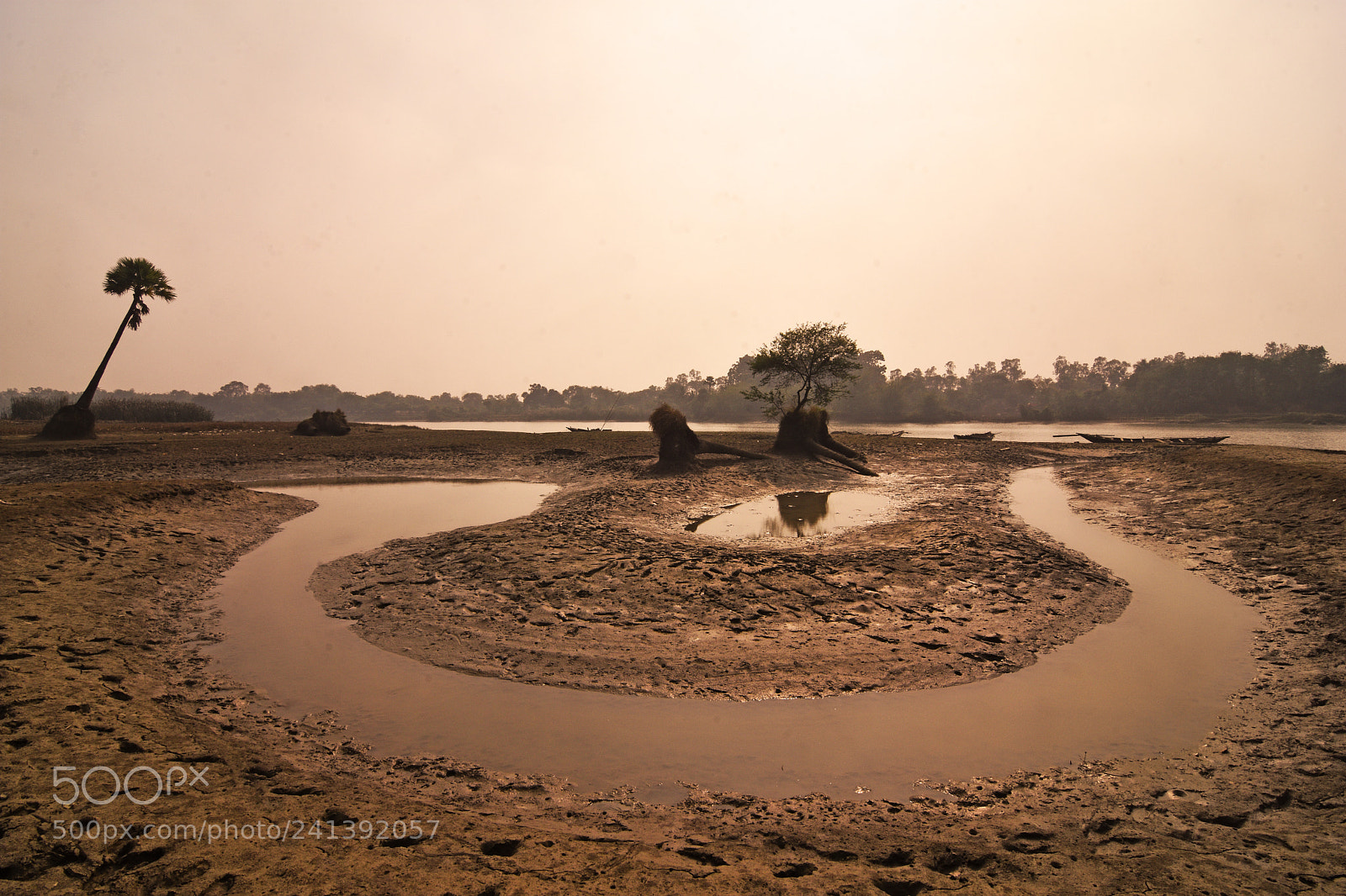 Nikon D7200 sample photo. .... death of a river ............. photography