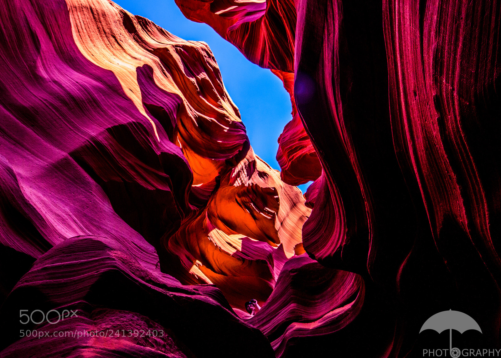 Nikon D3200 sample photo. Dancing colors photography