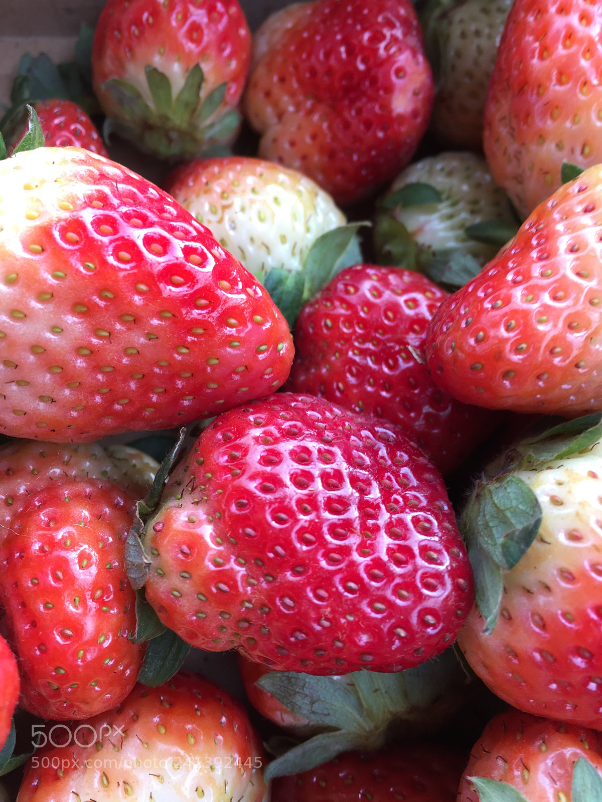 Apple iPhone 6 sample photo. Strawberry photography