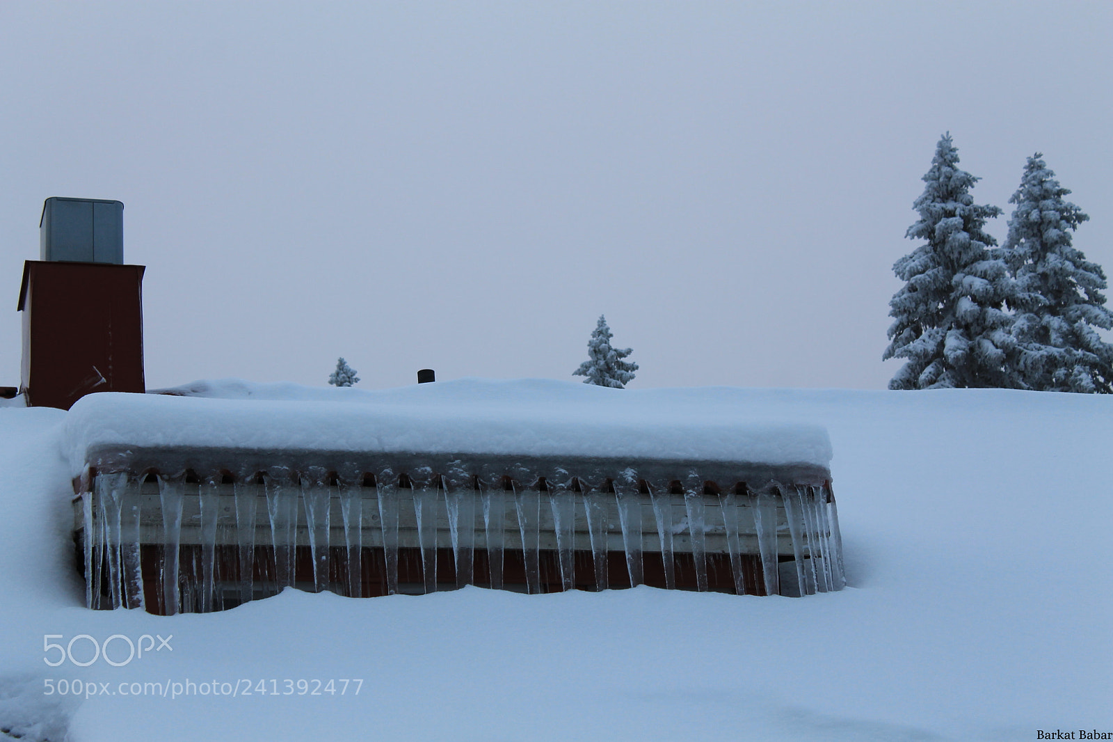 Canon EF-S 18-55mm F3.5-5.6 III sample photo. Icicles photography
