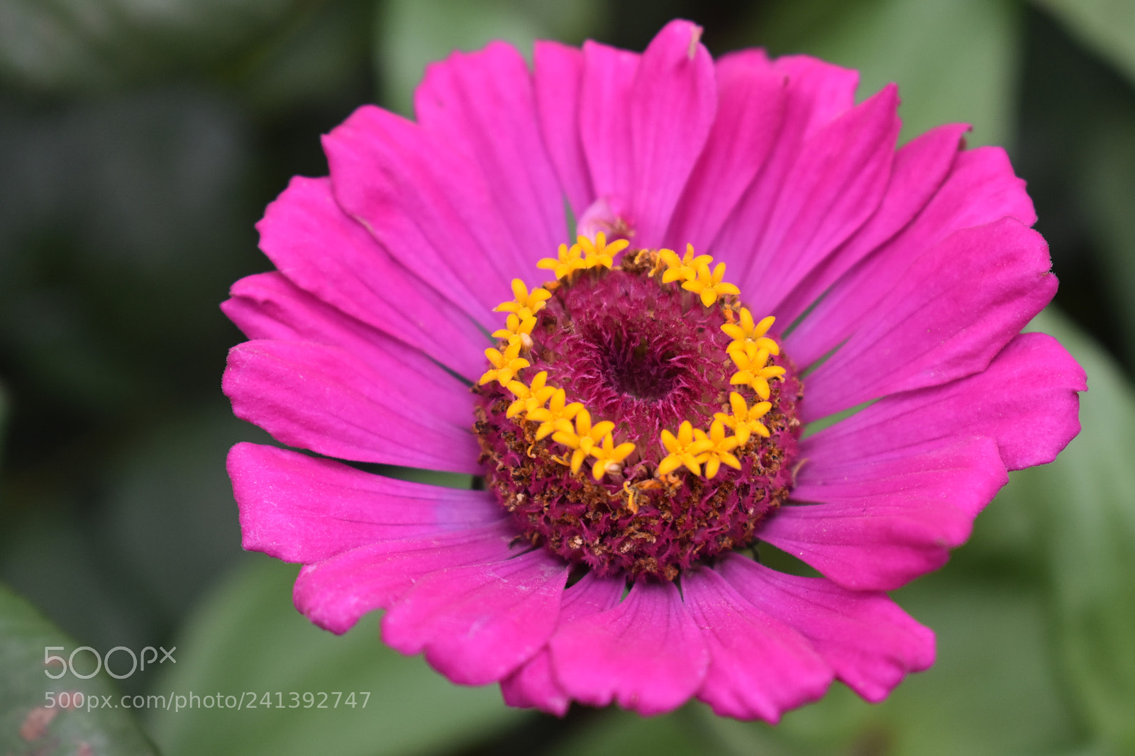 Nikon D3400 sample photo. It’s complicated photography