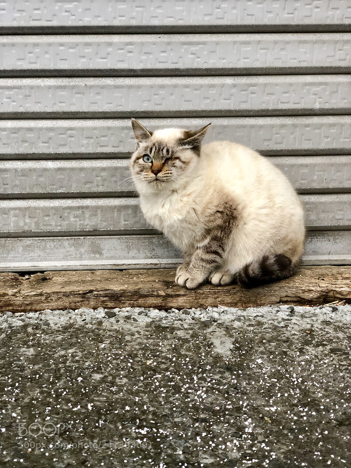 Apple iPhone X sample photo. Untitled photography